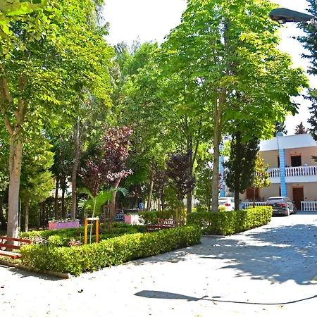 Gridi- Me Qera Spille