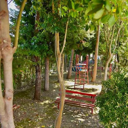 Gridi- Me Qera Spille